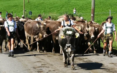 Almabtrieb in Oberstdorf
